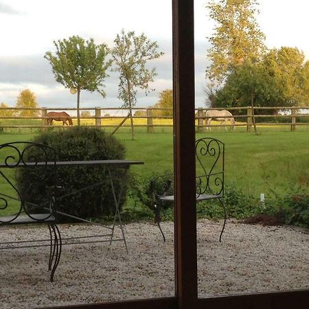 Haras Des Leudets Bed & Breakfast Blangy-le-Château Eksteriør bilde